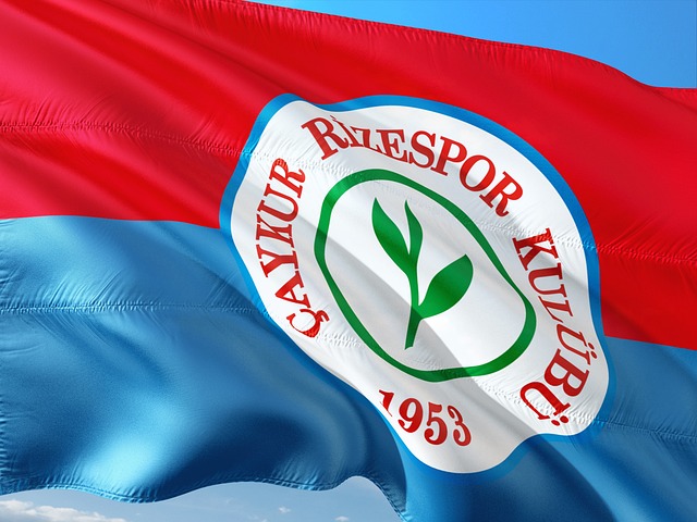 别的赛事 别的赛事