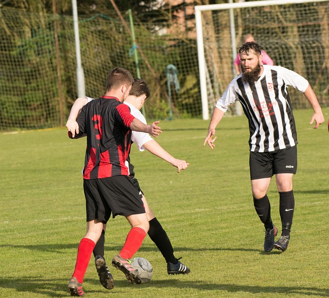 追求卓越的 追求卓越的