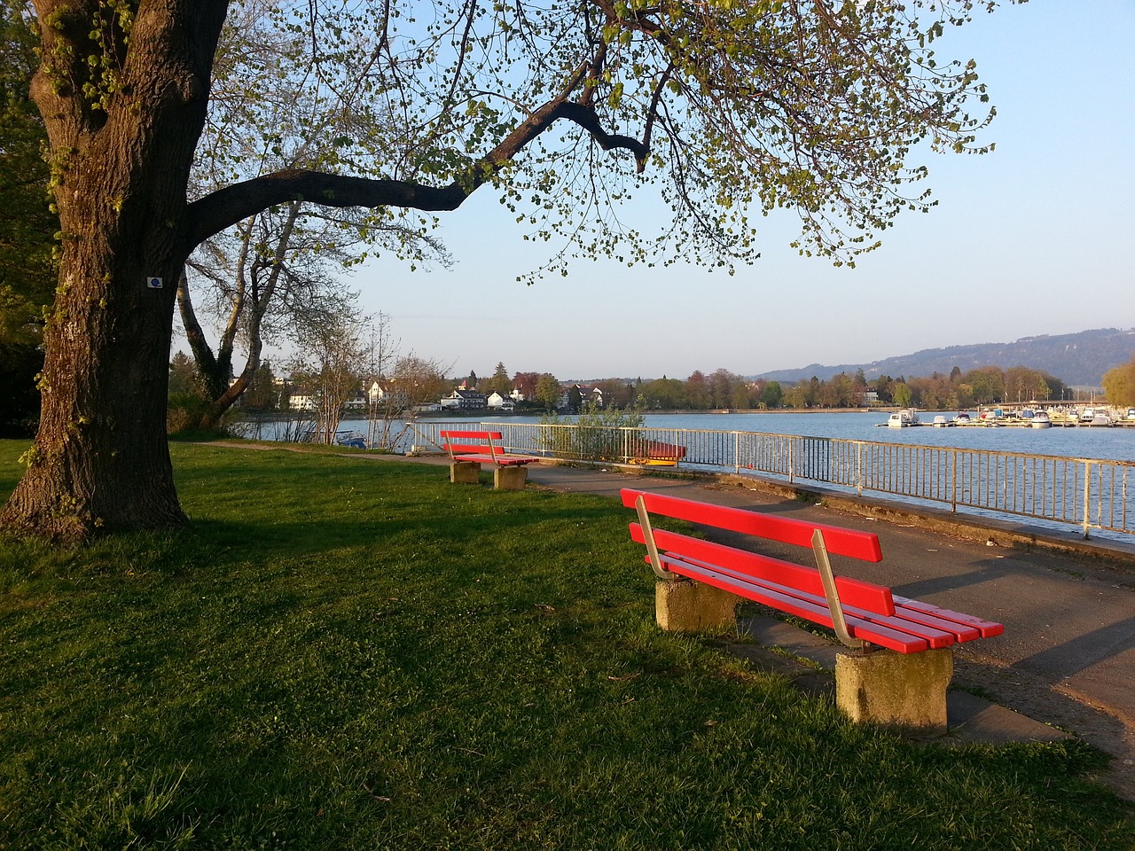 無疑讓他成 無疑讓他成