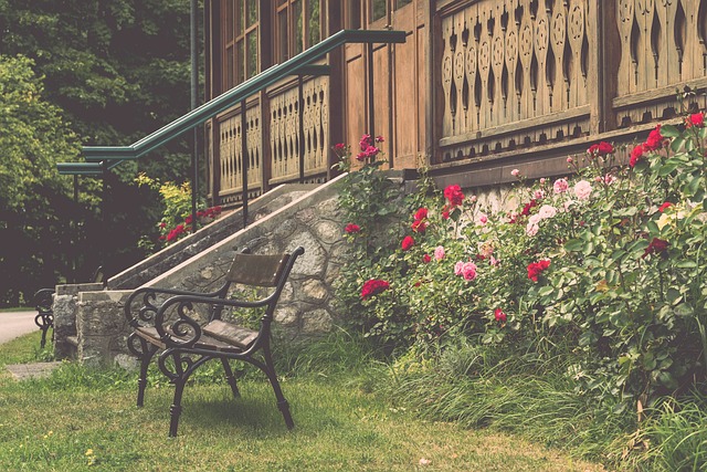 际政治的一 际政治的一