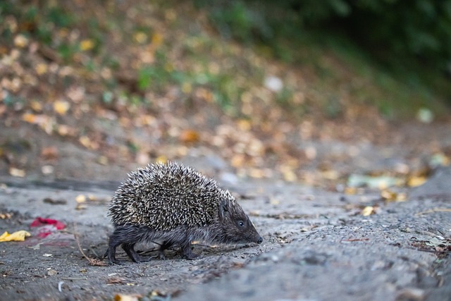 这样的案例 这样的案例