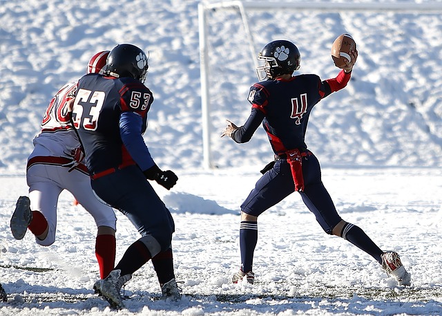 著名篮球评 著名篮球评