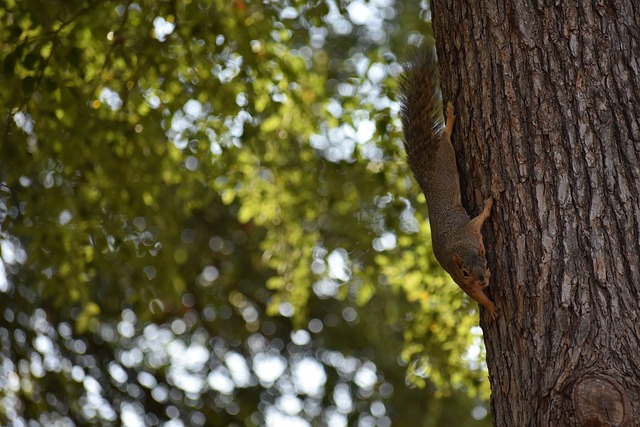 我们带来了 我们带来了
