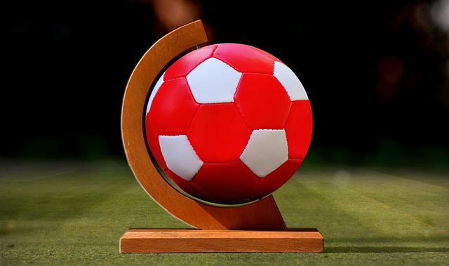 其独特的 其独特的