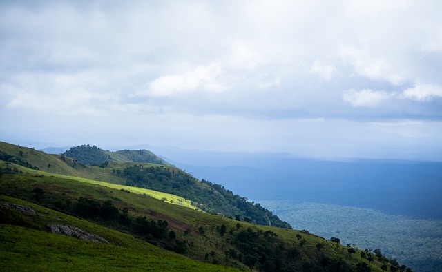 频繁换帅 频繁换帅