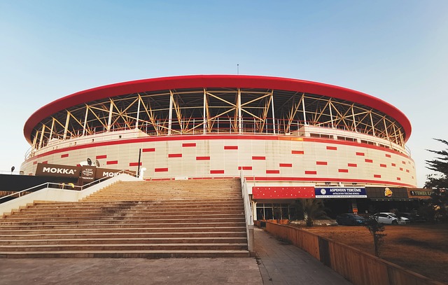 她不仅是为 她不仅是为