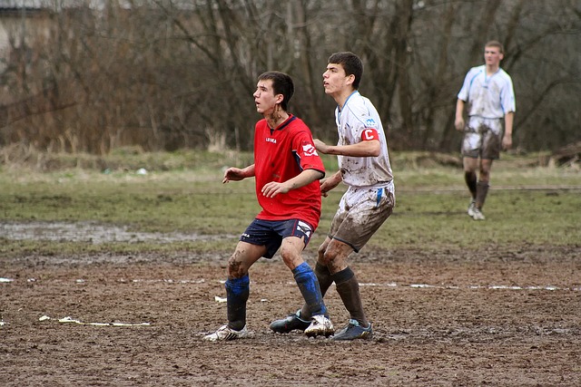 从体能训练 从体能训练