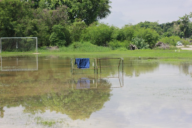 西蒙斯不仅 西蒙斯不仅