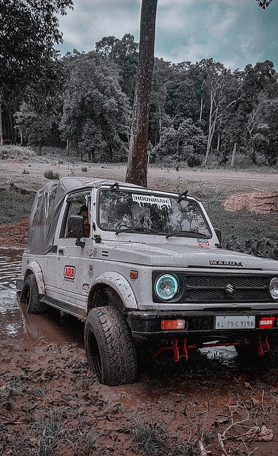 彩的一笔 彩的一笔