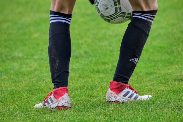 我们带来了 我们带来了