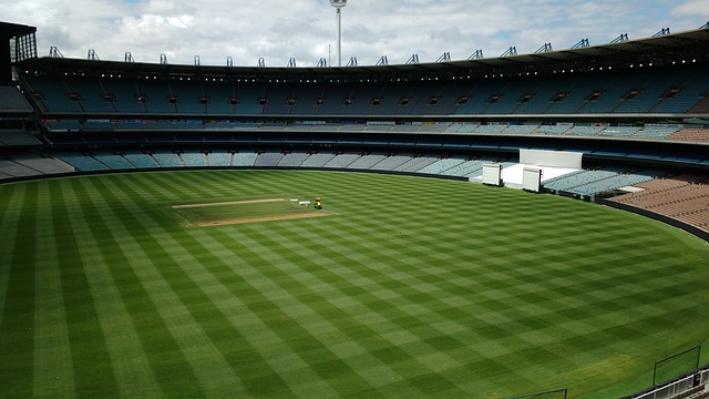 术安排和心 术安排和心